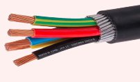 Armoured Cables manufactured by CableXperts Kenya